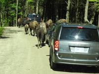 Omega Wildlife Park