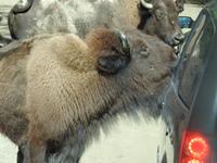 Omega Wildlife Park