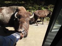 Omega Wildlife Park