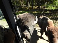 Omega Wildlife Park