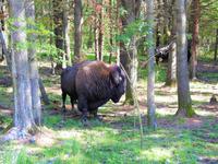 Omega Wildlife Park