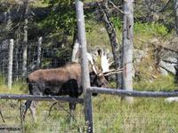 Omega Wildlife Park