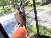 Omega Wildlife Park