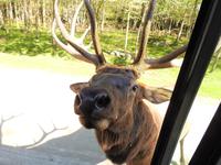 Omega Wildlife Park