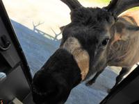 Omega Wildlife Park