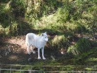 Omega Wildlife Park