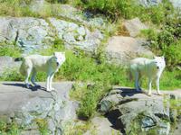 Omega Wildlife Park