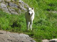Omega Wildlife Park