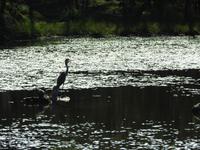 Omega Wildlife Park