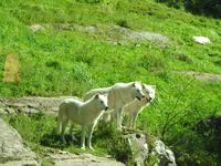 Omega Wildlife Park