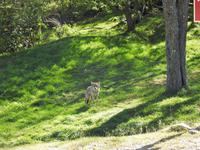 Omega Wildlife Park