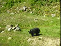 Omega Wildlife Park