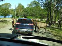 Omega Wildlife Park