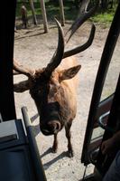 Omega Wildlife Park
