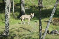 Omega Wildlife Park
