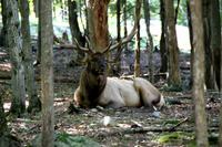 Omega Wildlife Park