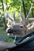 Omega Wildlife Park