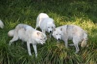 Omega Wildlife Park