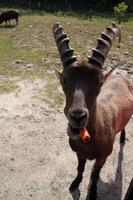 Omega Wildlife Park
