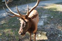 Omega Wildlife Park