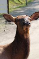 Omega Wildlife Park