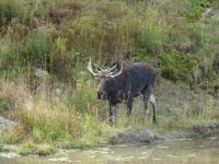Omega Wildpark 