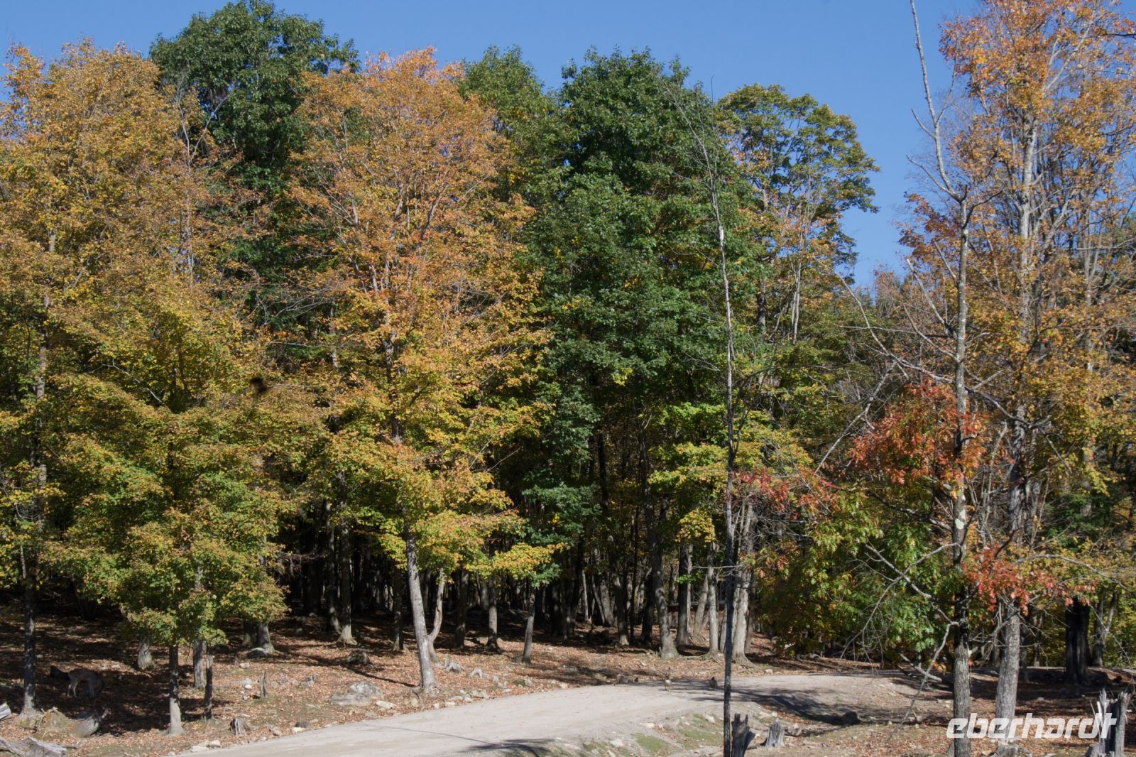 Omega Wildpark