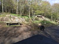 Omega Wildpark