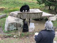 Omega Wildpark