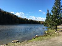 Omega Wildpark