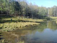 Omega Wildpark