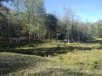 Omega Wildpark