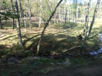 Omega Wildpark