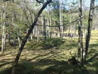 Omega Wildpark