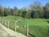 Omega Wildpark