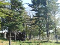 Omega Wildpark