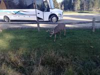 Omega Wildpark