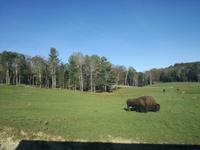 Omega Wildpark