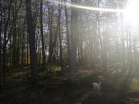 Omega Wildpark