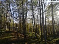 Omega Wildpark