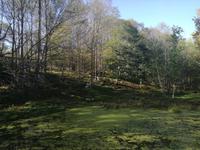 Omega Wildpark