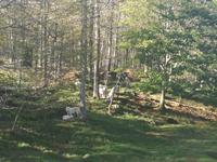 Omega Wildpark