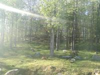 Omega Wildpark