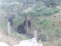 Omega Wildpark