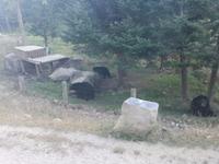 Omega Wildpark