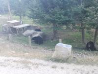 Omega Wildpark
