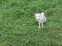 Omega Wildpark