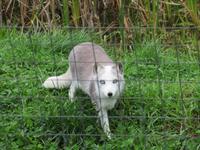 Omega Wildpark