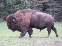 Omega Wildpark