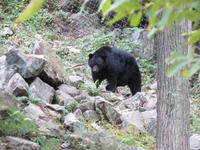 Omega Wildpark